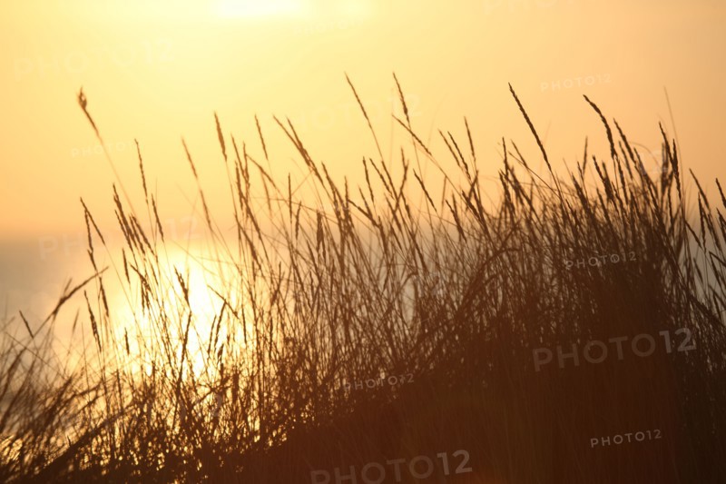 France, Basse Normandie, calvados, bessin, Isigny sur mer, embouchure de la vire, littoral, dunes, estuaire, manche, sable, coucher de soleil,