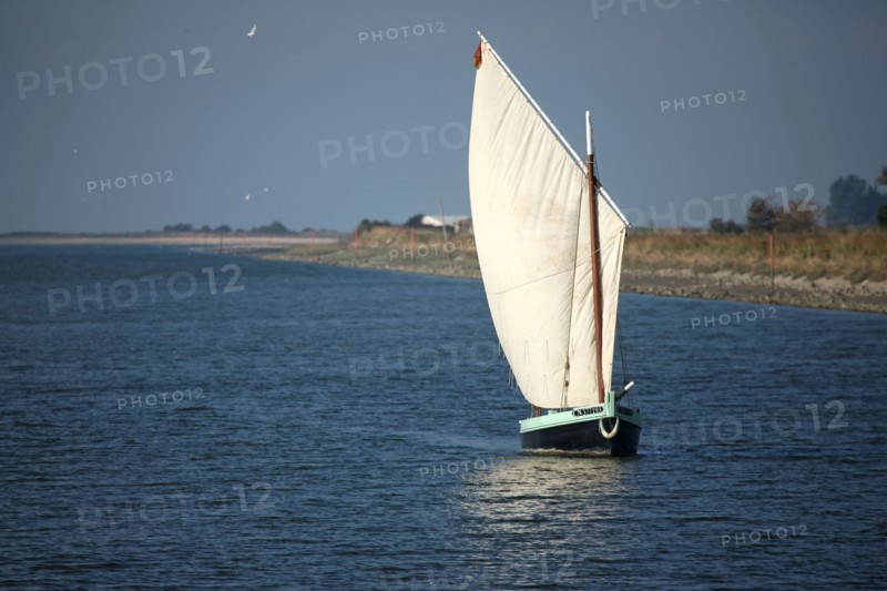 France, Basse Normandie, calvados, bessin, Isigny sur mer, embouchure de la vire, littoral, dunes, estuaire, manche, sable, voilier, plaisance, vieux greement,