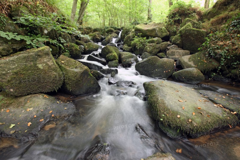 France, tourist of the bocage virois host country