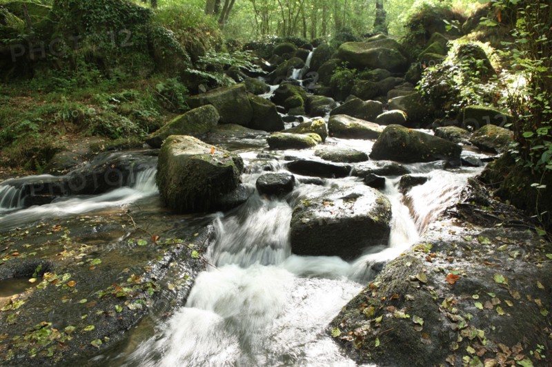 France, tourist of the bocage virois host country