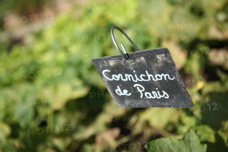 France, roumois land