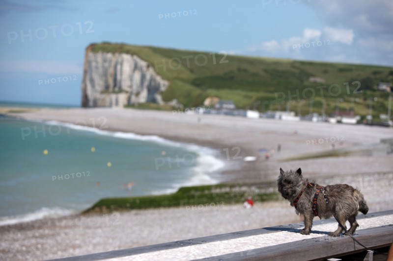 France, plateau of caux maritime