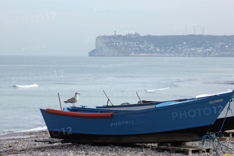 France, land of high cliffs