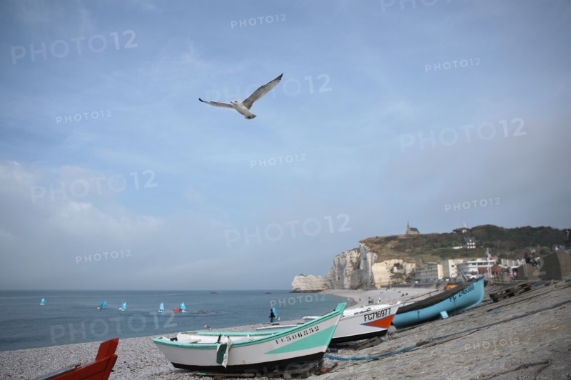 France, Haute Normandie, seine maritime, pays des hautes falaises, etretat, plage, galets, falaise d'amont, barques, caiques, bateaux, canots, impressionnisme, goeland en vol,