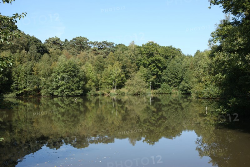 France, Haute Normandie, seine maritime, pays d'accueil touristique du pays de bray, forges les eaux, promenade du bois de l'epinay, etang reflet dans l'eau