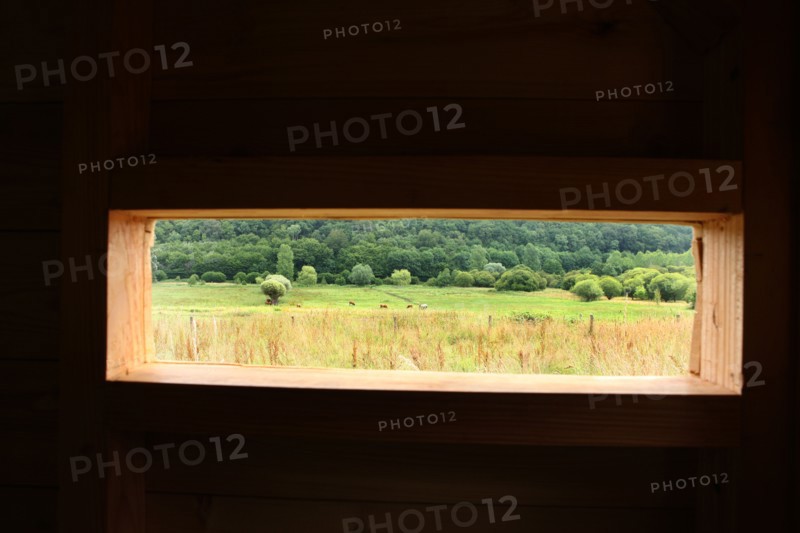 France, plateau of caux maritime
