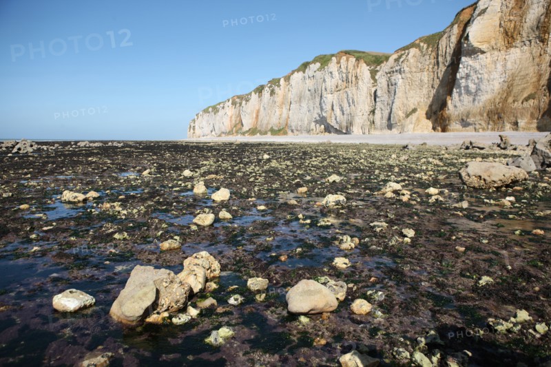 France, Haute Normandie, seine maritime, l'echelle saint martin, plateau de caux maritime, sortie pedagogique sur l'estran, falaise,