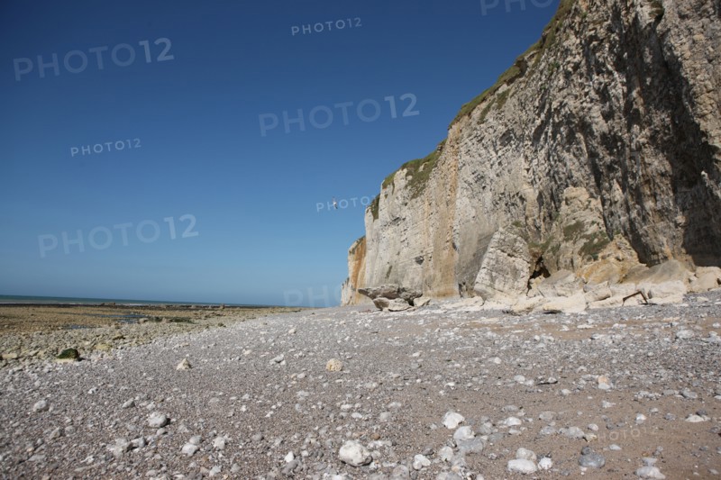France, Haute Normandie, seine maritime, l'echelle saint martin, plateau de caux maritime, sortie pedagogique sur l'estran, falaise,