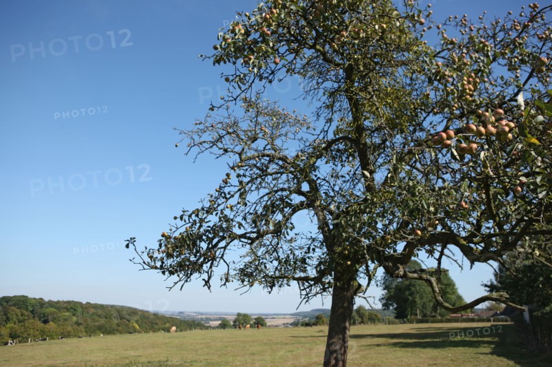 France, pays d'accueil touristique du pays de bray