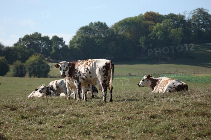 France, pays d'accueil touristique du pays de bray