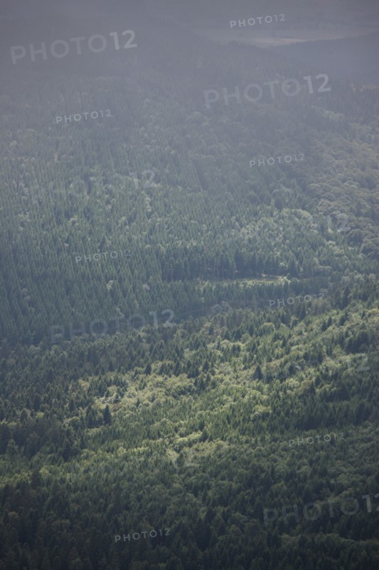 France, auvergne, puy de dome, paysage depuis le sommet du puy de dome, volcan, ciel tres menacant, orage, brouillard, meteo, foret de pins,