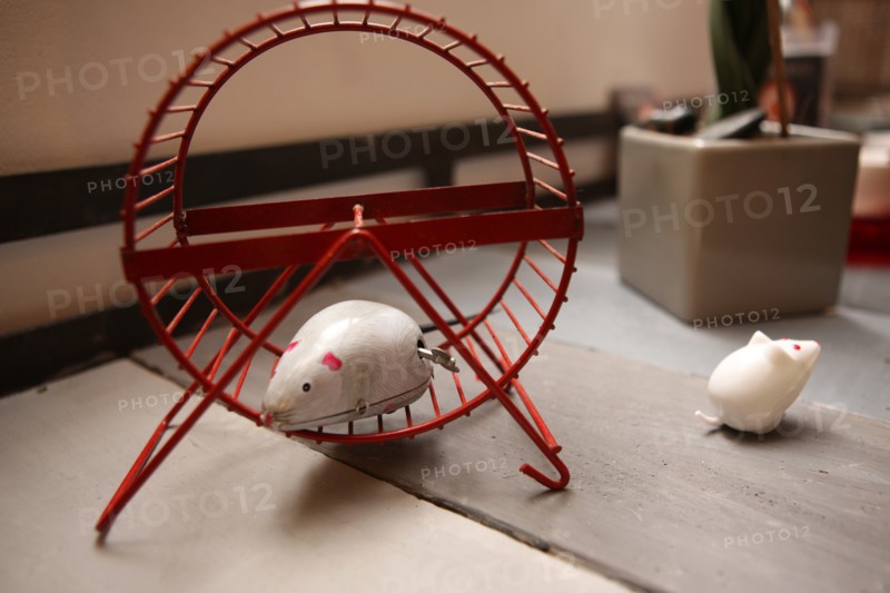 La Villa Hamster à Nantes
