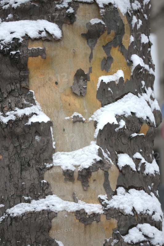 Ile de France, Snowy