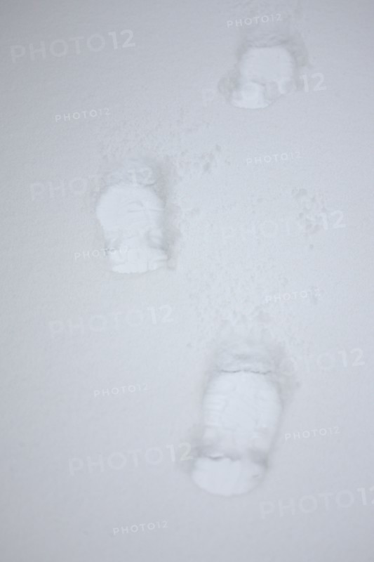 Paris sous la neige