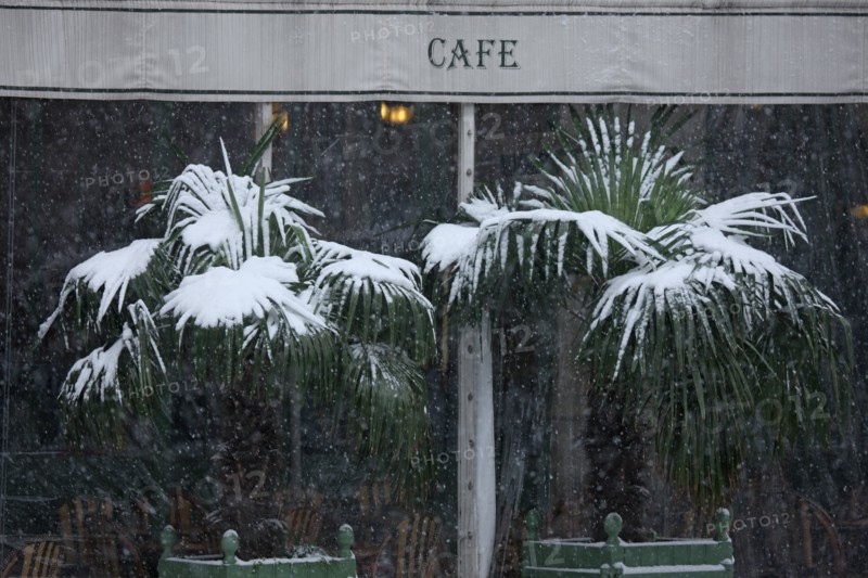 Ile de France, Snowy