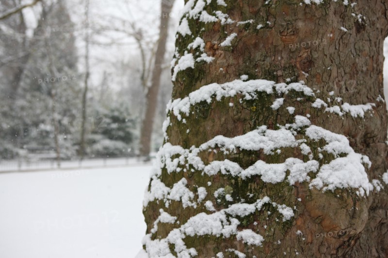 Paris sous la neige