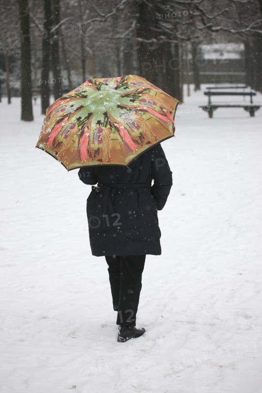 Paris sous la neige