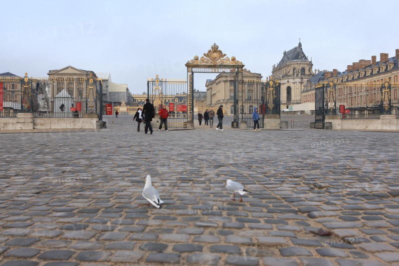 France, Ile de France, Yvelines, Versailles, chateau de Versailles, cour d'honneur, esplanade, paves, mouette rieuse devant le chateau,