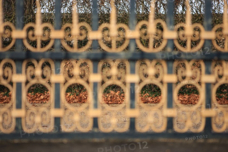 France, Ile de France, Yvelines, Versailles, chateau de Versailles, parc du chateau, jardin, hiver, grille, feuilles mortes,