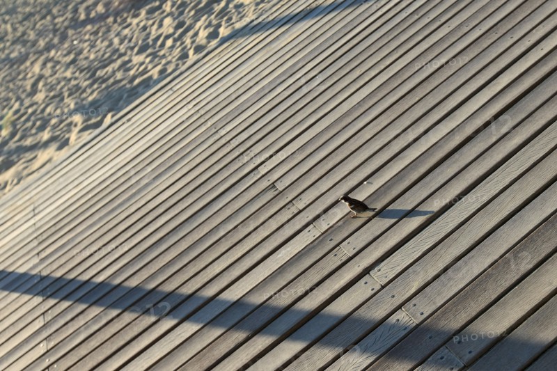 France, Deauville
