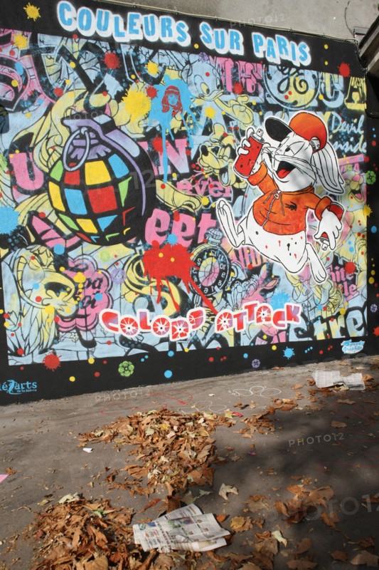 France, Ile de France, paris, 13e arrondissement, rue du moulin des pres, peinture murale et feuilles mortes, graf, street art,