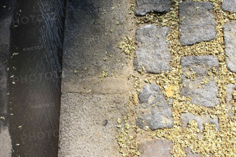 France, Detail of the pavement