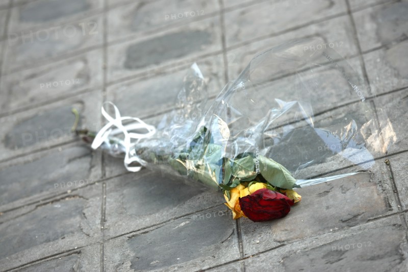 France, on the ground