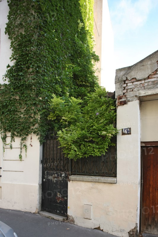 France, Ile de France, paris 20e arrondissement, 46 bis rue des prairies, jardin sur rue,
