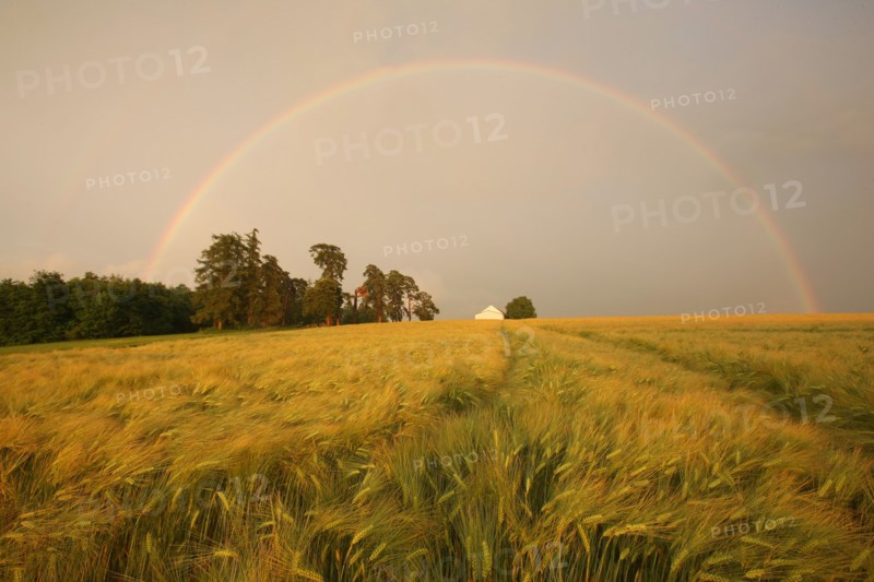 France, region centre, cher, sancerrois, pesselieres, arc en ciel, orage, meteo, rainbow, pluie, climat, arche, agriculture, champ, panneau, chemin,