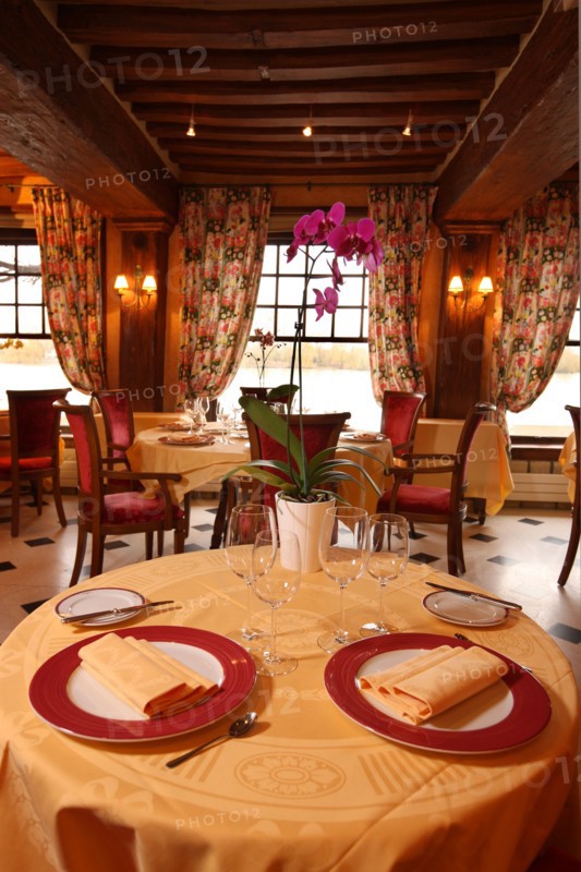 France, Haute Normandie, eure, les andelys, le petit andely, hotel restaurant, la chaine d'or, salle de restaurant,