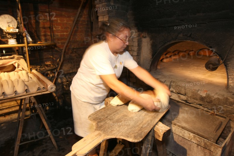 France, la haye de routot