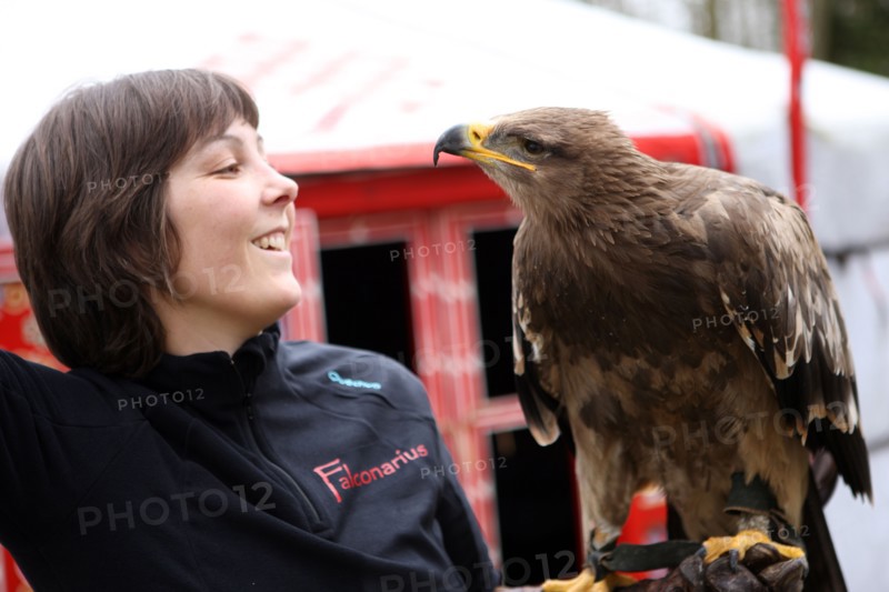 France, Haute Normandie, eure, balines, falconarius, bois des aigles, rapaces, hebergement en yourte mongole, faucon des steppes,