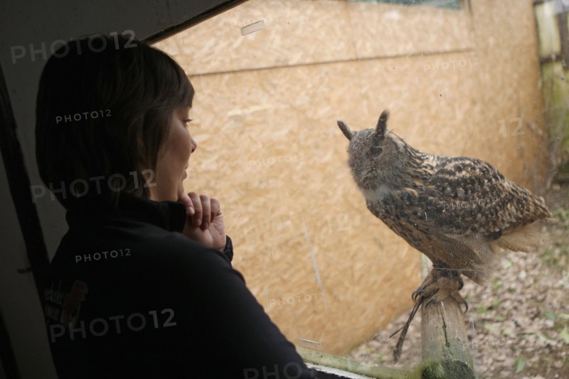 France, Haute Normandie, eure, balines, falconarius, bois des aigles, rapaces, hibou grand duc,