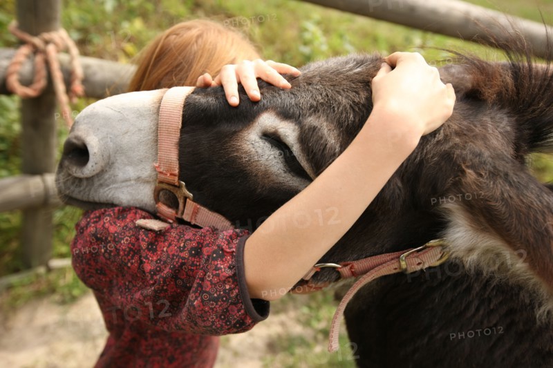 France, Donkeys of the Elisane association