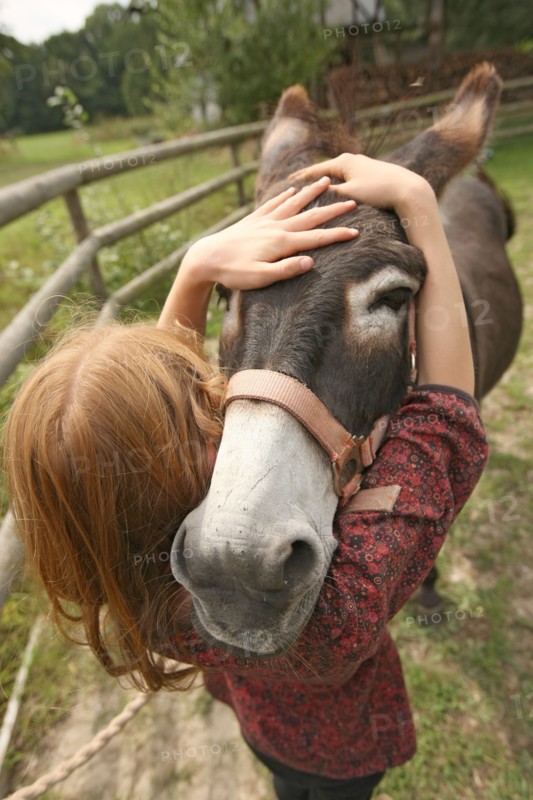 France, Donkeys of the Elisane association