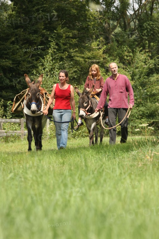 France, Donkeys of the Elisane association