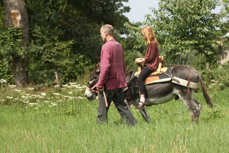 France, Donkeys of the Elisane association