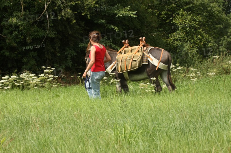 France, Donkeys of the Elisane association