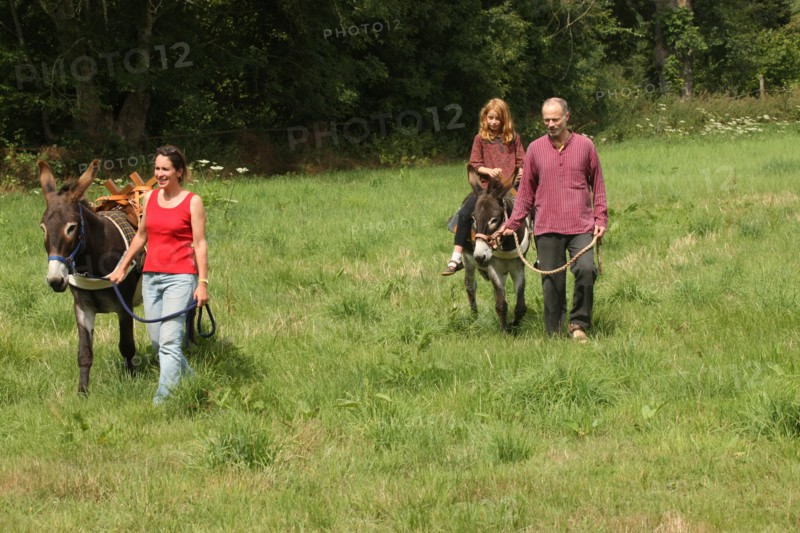 France, Donkeys of the Elisane association