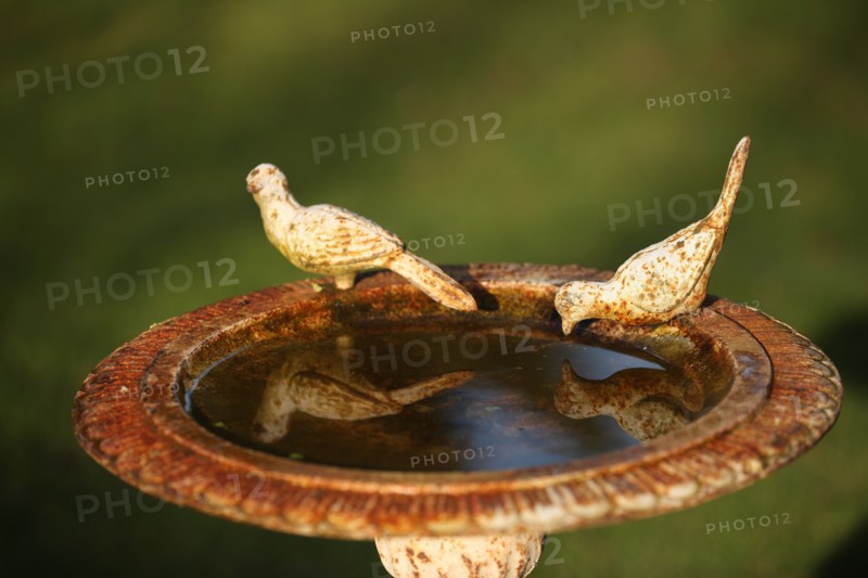 France, Guesthose "au jardin"