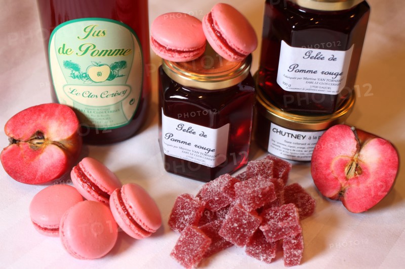 France, Haute Normandie, eure, evreux/gauciel, restaurant la gazette, chef xavier buzieux, dessert a base de pomme rouge produite par stephane et martine van thornout a gauciel,