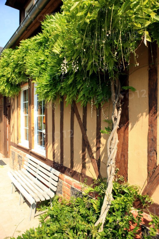 France, Haute Normandie, eure, pays de risle charentonne, saint victor d'epine, promenade en foret en famille, autour du gite rural n 552, proprietaire anne marie rault, hebergement, gites de france, rosier,
