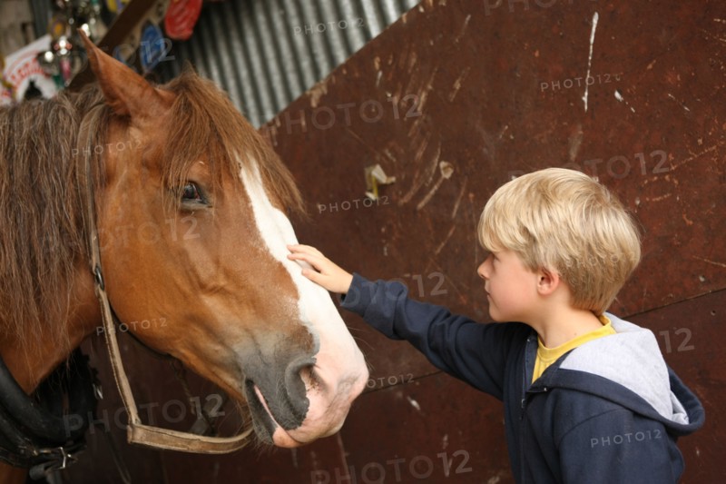 France, Beaulieu farm