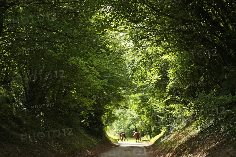 France, Green way