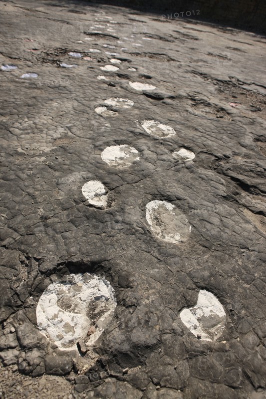 France, franche comté, jura, loulle, traces de dinosaures, site protege, prehistoire, jurassique, archeologie, patrimoine naturel, paleontologie,