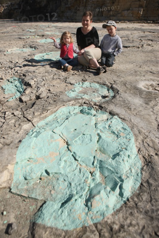France, franche comté, jura, loulle, traces de dinosaures, site protege, prehistoire, jurassique, archeologie, patrimoine naturel, paleontologie, famille,