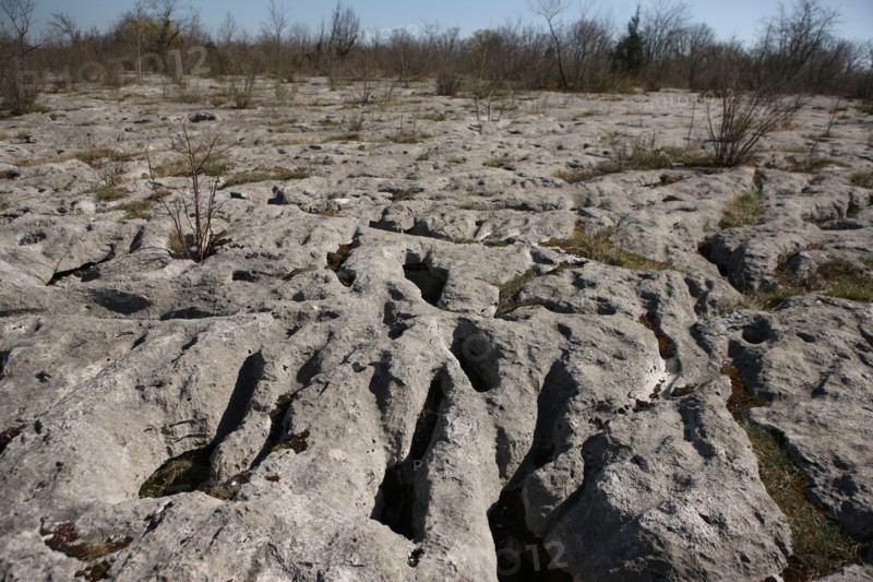 France, franche comte, jura, loulle, les lapiaz de loulle, sol prehistorique, curiosite geologique, jurassique, prehistoire,