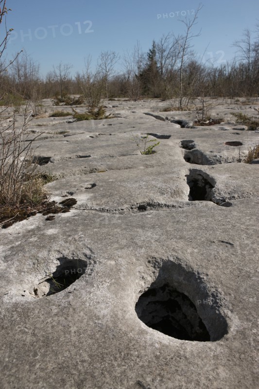 France, Loulle limestone pavement
