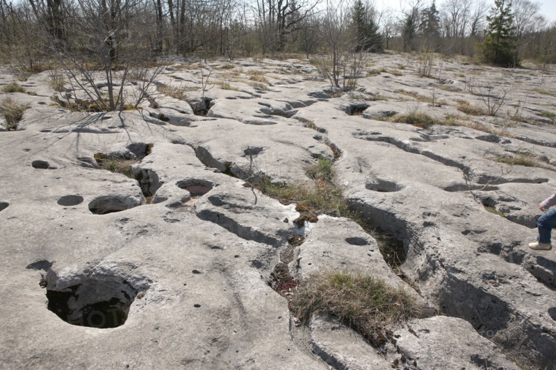 France, Loulle limestone pavement
