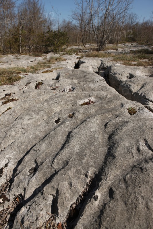 France, Loulle limestone pavement